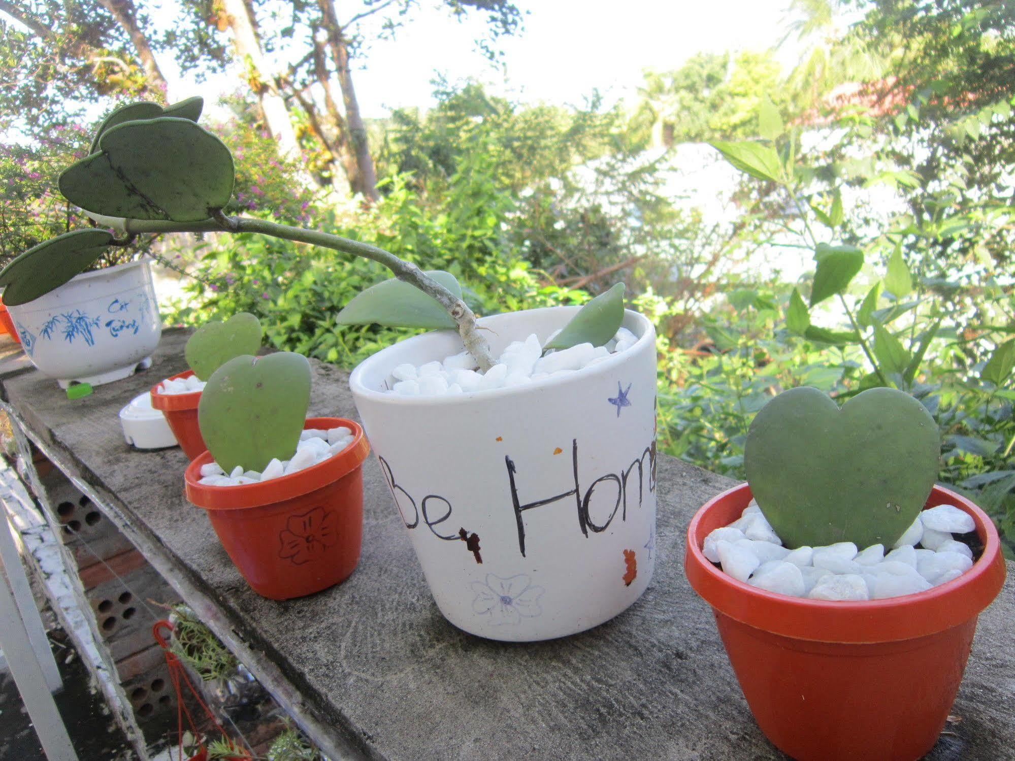 Be Home Hostel Phu Quoc Exterior foto