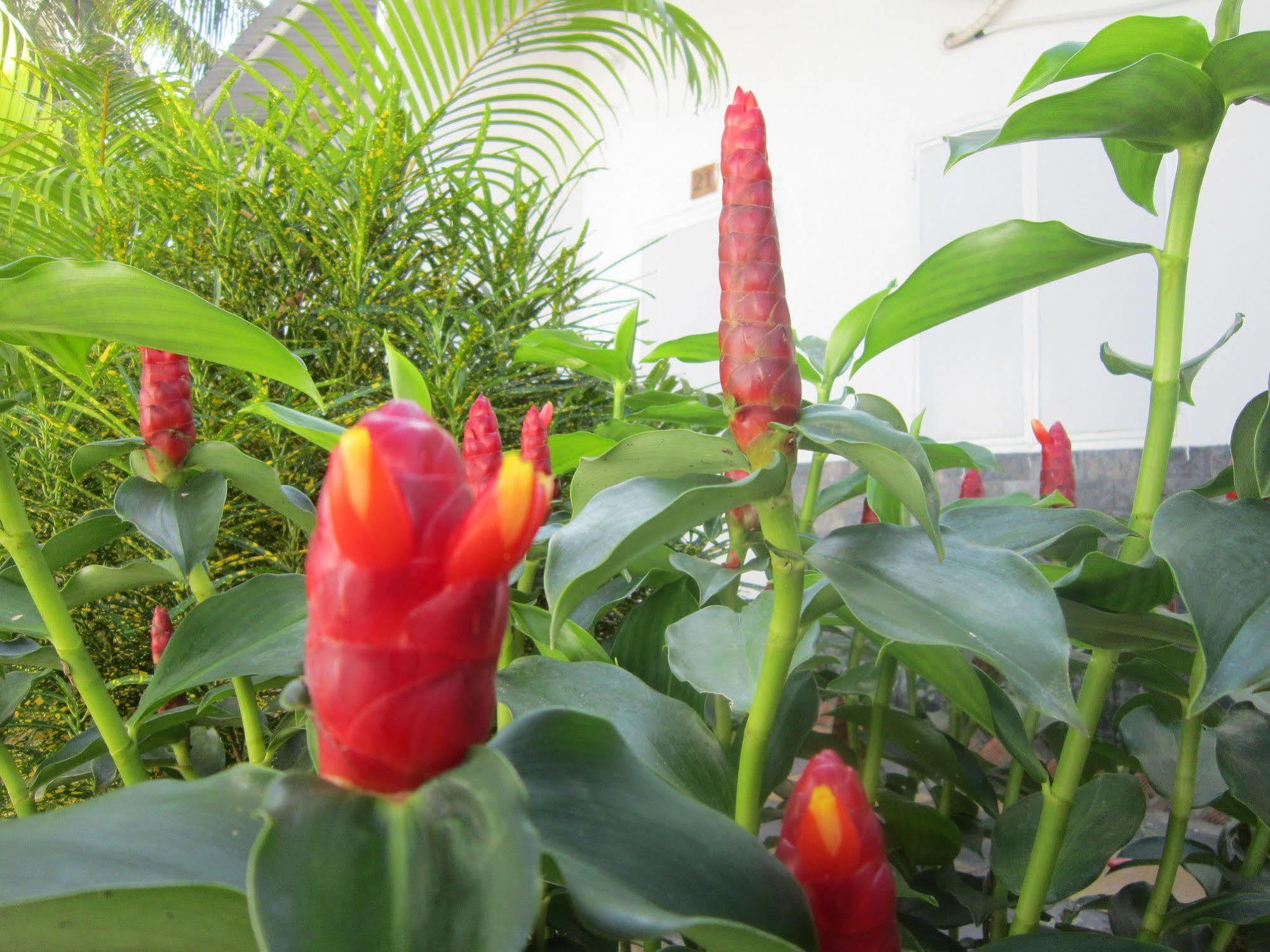 Be Home Hostel Phu Quoc Exterior foto