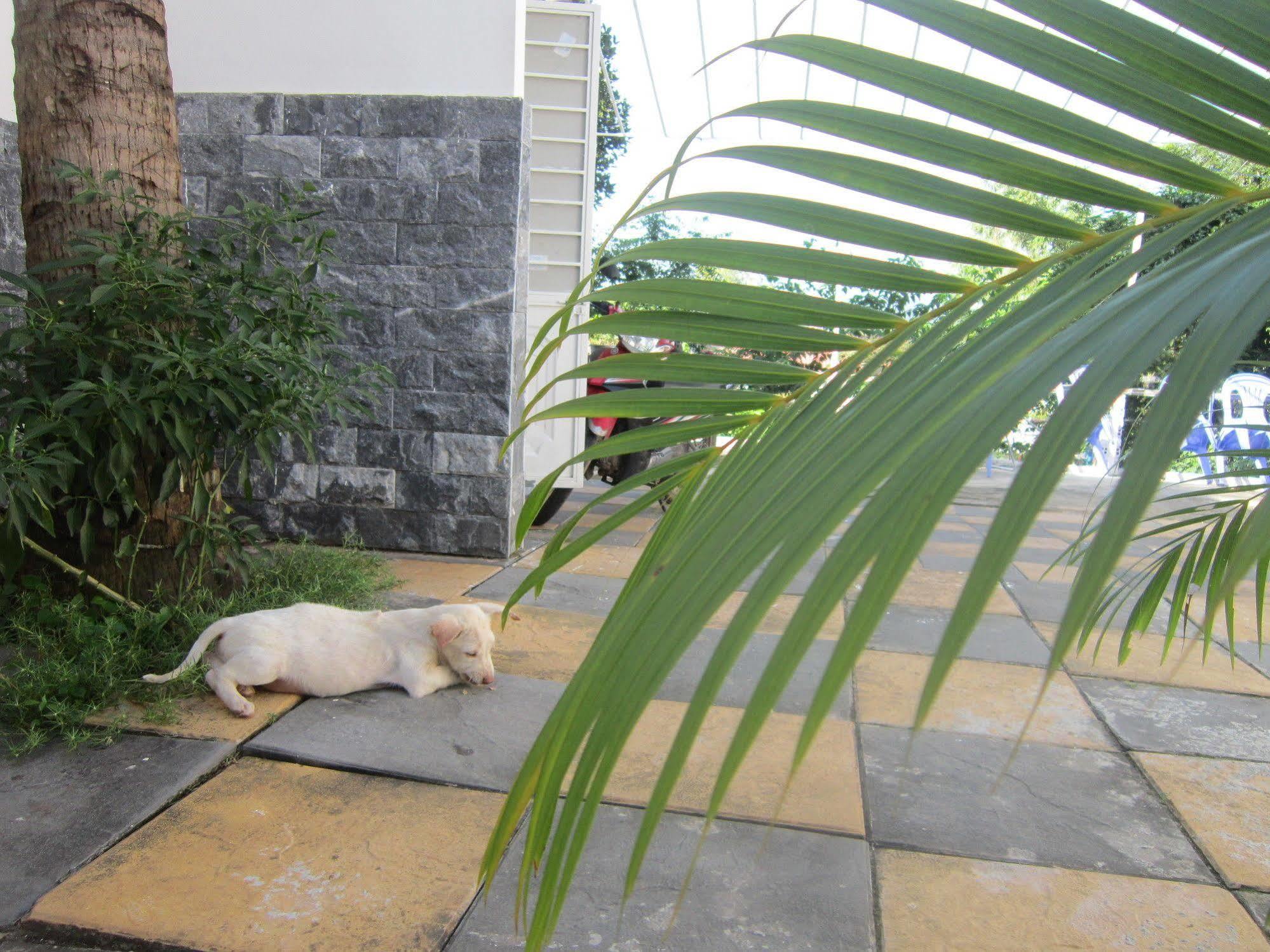 Be Home Hostel Phu Quoc Exterior foto